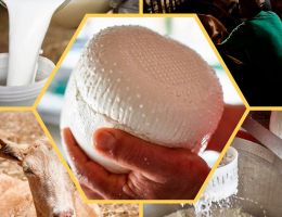 Immagine 1 di CACIORICOTTA CAPRINO DEL CILENTO STAGIONATO