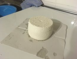 Immagine 5 di CACIORICOTTA CAPRINO DEL CILENTO STAGIONATO