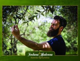 Immagine 2 di OLIO EXTRAVERGINE DI OLIVA D.O.P. IRPINIA CULTIVAR RAVECE BIO CATEGORIA SUPERIORE