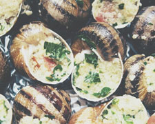 Immagine 1 di ALLEVAMENTO DI LUMACHE