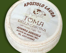 Immagine 1 di TOMA DELLA CASCINA