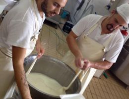 Immagine 1 di CACIO IN ASSE