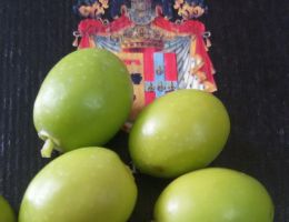 Immagine 4 di OLIO EXTRAVERGINE DI OLIVA MOLISE D.O.P. DI QUALITA' SUPERIORE PRINCIPE PIGNATELLI