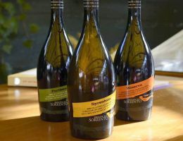 Immagine 1 di MINERVA