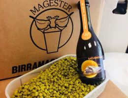 Immagine 3 di SATURNO 500 STILE AMERICAN IPA