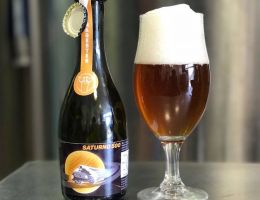 Immagine 4 di SATURNO 500 STILE AMERICAN IPA