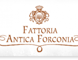 Immagine 2 di POMODORI VERDI SOTT' OLIO