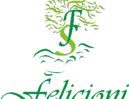 Immagine 3 di OLIO EXTRAVERGINE DI OLIVA D.O.P. COLLI ASSISI SPOLETO CULTIVAR MORAIOLO CATEGORIA SUPERIORE