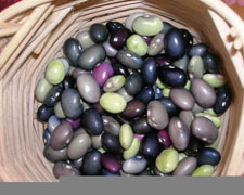 Immagine 1 di CECI DI CAPITIGNANO AGRI CANESTRA