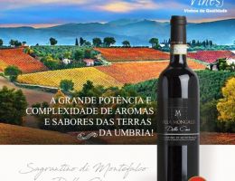 Immagine 1 di SAGRANTINO DI MONTEFALCO D.O.C.G. DELLA CIMA