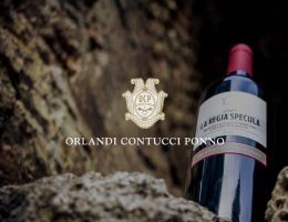 Immagine 1 di MONTEPULCIANO D'ABRUZZO COLLINE TERAMANE D.O.C.G. LA REGIA SPECULA