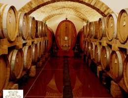 Immagine 2 di MONTEPULCIANO D'ABRUZZO COLLINE TERAMANE D.O.C.G. LA REGIA SPECULA