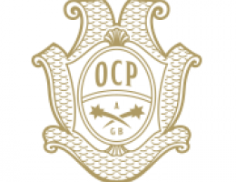 Immagine 5 di MONTEPULCIANO D'ABRUZZO COLLINE TERAMANE D.O.C.G. LA REGIA SPECULA