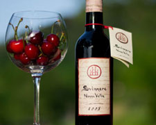 Immagine 1 di SVINNERE DI NONNA VELIA DI ORVIETO