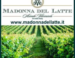 Immagine 5 di SUCANO I.G.T. ROSSO UMBRIA