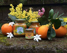 Immagine 3 di MIELE D'ARANCIO DELLA PENISOLA SORRENTINA