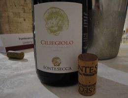 Immagine 1 di CILIEGIOLO I.G.T. ROSSO UMBRIA
