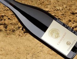 Immagine 3 di CILIEGIOLO I.G.T. ROSSO UMBRIA