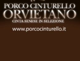 Immagine 2 di PROSCIUTTO CRUDO DI CINTA SENESE STAGIONATO 24 MESI STATO SEMIBRADO