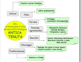 Immagine 1 di OLIO EXTRAVERGINE DI OLIVA CULTIVAR I-77 ALLEGRA DI CATEGORIA SUPERIORE VICENNE CLASSICO