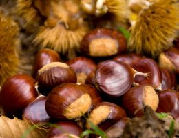 Immagine 4 di MARRON CLACE' ARTIGIANALI CASTAGNA DI MONTELLA I.G.P.