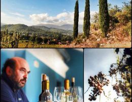 Immagine 4 di I.G.T. UMBRIA ROSSO RUBINO DELLA PALAZZOLA