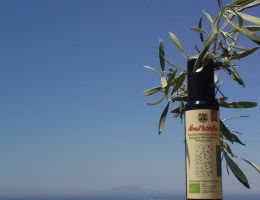 Immagine 2 di OLIO EXTRAVERGINE DI OLIVA BIO CULTIVAR MINUCCIOLA CATEGORIA SUPERIORE