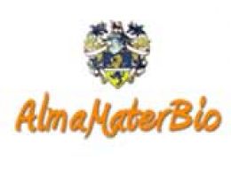 Immagine 4 di OLIO EXTRAVERGINE DI OLIVA BIO CULTIVAR MINUCCIOLA CATEGORIA SUPERIORE