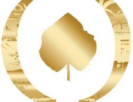 Immagine 5 di OLIO EXTRAVERGINE DI OLIVA BIO ECLA CULTIVAR MARINESE CATEGORIA SUPERIORE