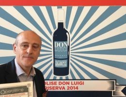 Immagine 1 di MOLISE MONTEPULCIANO RISERVA D.O.C. DON LUIGI