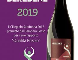 Immagine 4 di CILIEGIOLO DI NARNI I.G.T. CANTINA SANDONNA