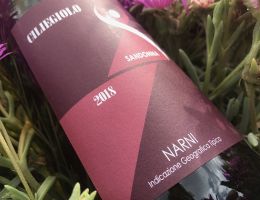 Immagine 1 di CILIEGIOLO DI NARNI I.G.T. CANTINA SANDONNA