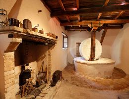 Immagine 4 di OLIO EXTRAVERGINE DI OLIVA D.O.P. UMBRIA CULTIVAR MURAIOLO ANTICO FRANTOIO DEI CARDARELLI DI CATEGORIA SUPERIORE