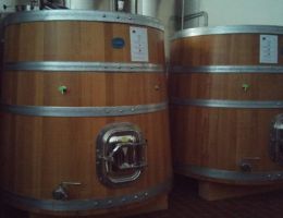 Immagine 3 di D.O.P. TINTILIA DEL MOLISE 66 LINEA CLASSIC CLAUDIO CIPRESSI VIGNAIOLO