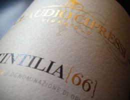 Immagine 1 di D.O.P. TINTILIA DEL MOLISE 66 LINEA CLASSIC CLAUDIO CIPRESSI VIGNAIOLO