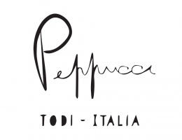 Immagine 1 di TODI ROSSO D.O.C. IL PETRORO 4