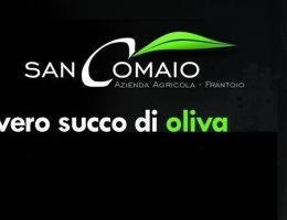 Immagine 2 di OLIO EXTRAVERGINE DI OLIVA CULTIVAR RAVECE ZAHIR CATEGORIA SUPERIORE