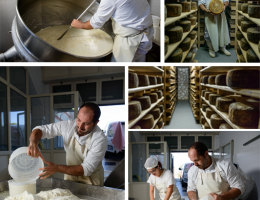Immagine 2 di PECORINO BAGNOLESE D'IRPINIA STAGIONATO