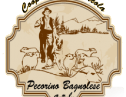 Immagine 3 di PECORINO BAGNOLESE D'IRPINIA STAGIONATO