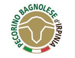 Immagine 4 di PECORINO BAGNOLESE D'IRPINIA STAGIONATO