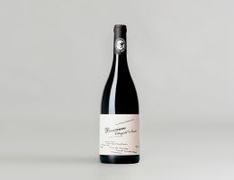 Immagine 1 di BRECCIARO CILIEGIOLO DI NARNI I.G.T.