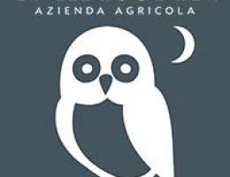 Immagine 2 di PASSATA DI POMODORI LE MASCIARE