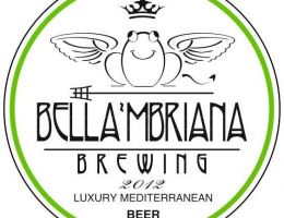 Immagine 4 di SIMUM STILE STRONG ALE BELGA