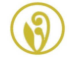 Immagine 3 di OLIO EXTRAVERGINE DI OLIVA CULTIVAR RAVECE QUALITA' SUPERIORE