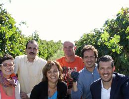 Immagine 3 di MERLOT UMBRIA I.G.P. PORTICINA