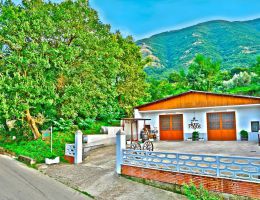 Immagine 2 di OLIO EXTRA VERGINE DI OLIVA COLLINE DEL SANNIO BENEVENTANO ALTA QUALITA'