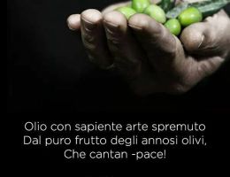 Immagine 1 di OLIO EXTRA VERGINE DI OLIVA COLLINE DEL SANNIO BENEVENTANO ALTA QUALITA'