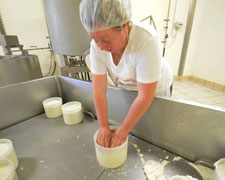 Immagine 1 di Ricotta di Pecora