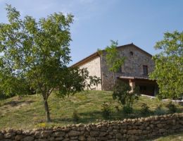 Immagine 2 di MIELE IN FAVO