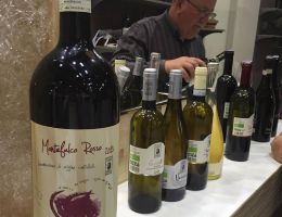 Immagine 1 di MONTEFALCO ROSSO D.O.C.